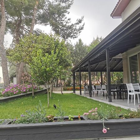 Hotel Pelikan Divjake Exterior photo